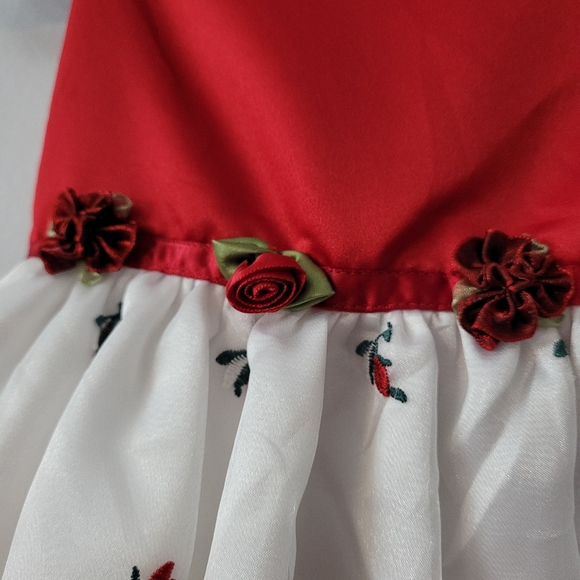 Girls Satin Holiday Christmas Dress Embroidered - Picture 5 of 11